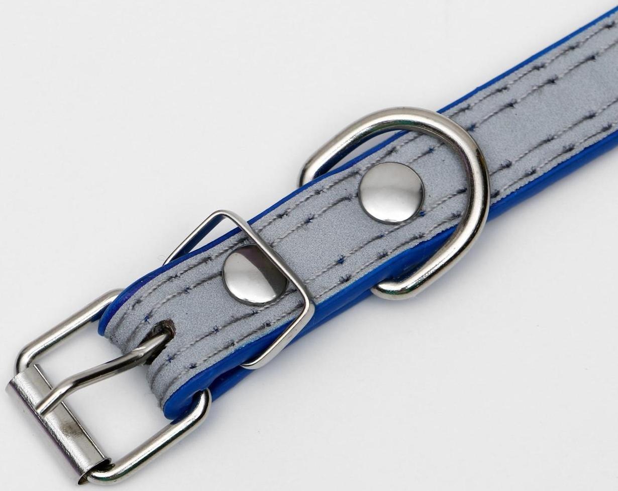 Ошейник с косточками светоотражающий, 37 х 1,3 см, ОШ 26-33, синий