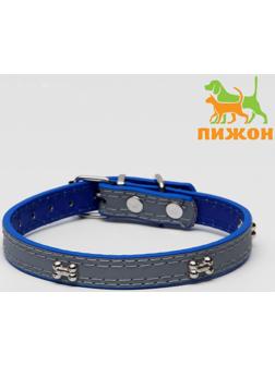 Ошейник с косточками светоотражающий, 37 х 1,3 см, ОШ 26-33, синий