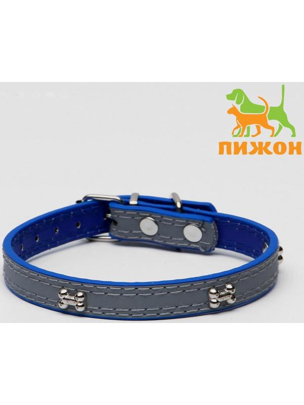 Ошейник с косточками светоотражающий, 37 х 1,3 см, ОШ 26-33, синий