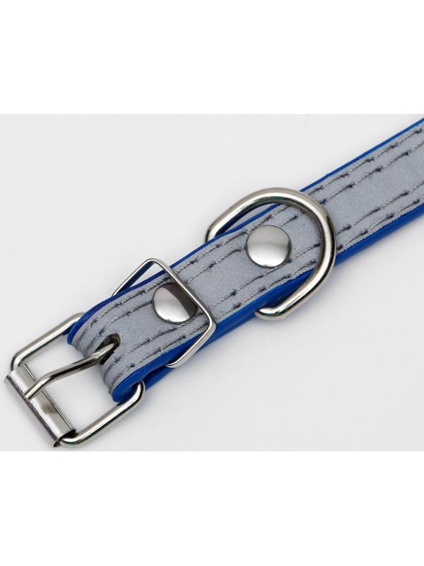 Ошейник с косточками светоотражающий, 37 х 1,3 см, ОШ 26-33, синий