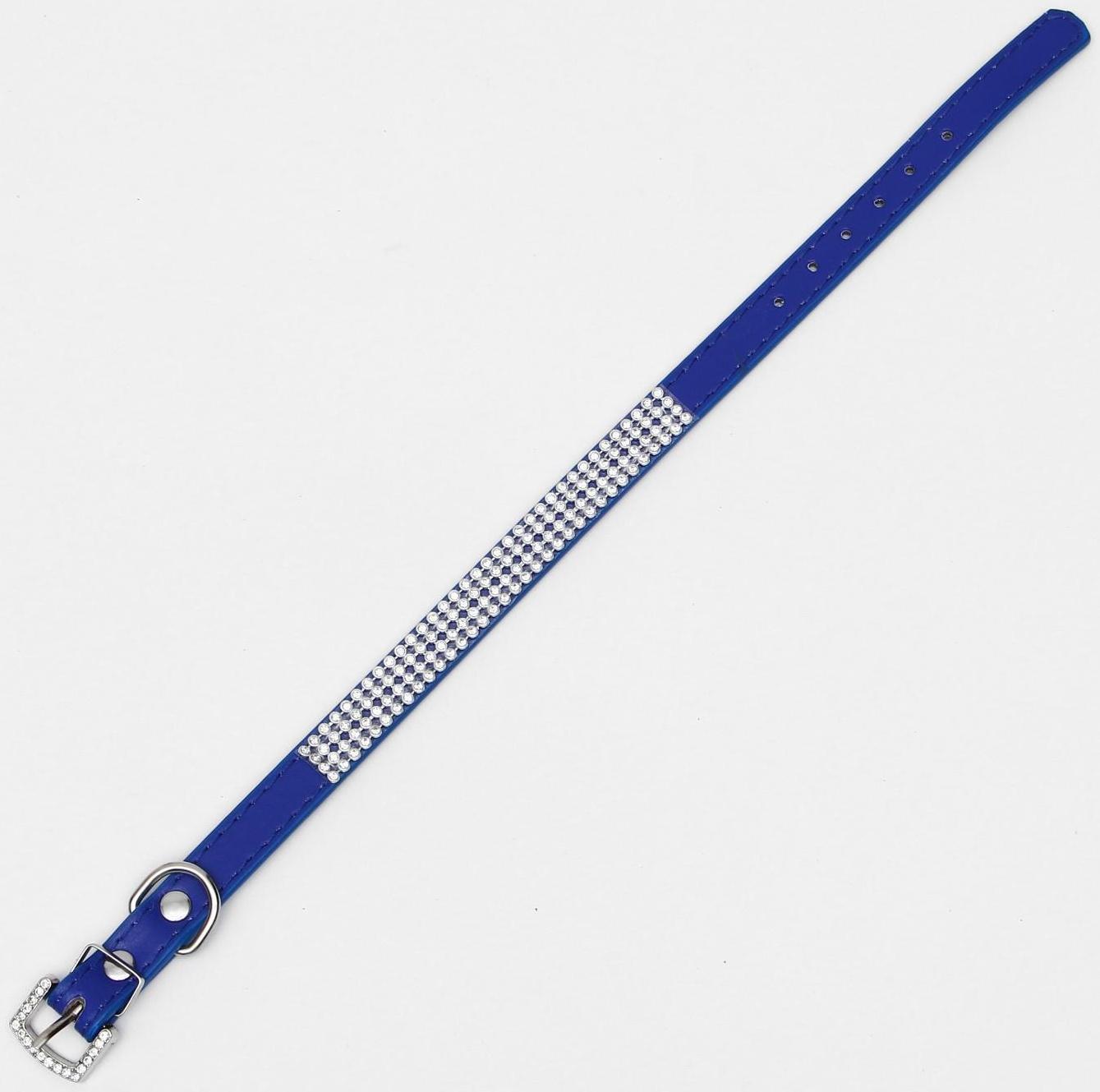 Ошейник со стразами в 4 ряда и стразы на пряжке,38 х 1,5 см, ОШ 26-33, синий