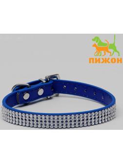 Ошейник со стразами в 4 ряда и стразы на пряжке,38 х 1,5 см, ОШ 26-33, синий