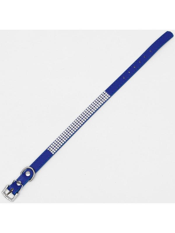 Ошейник со стразами в 4 ряда и стразы на пряжке,38 х 1,5 см, ОШ 26-33, синий