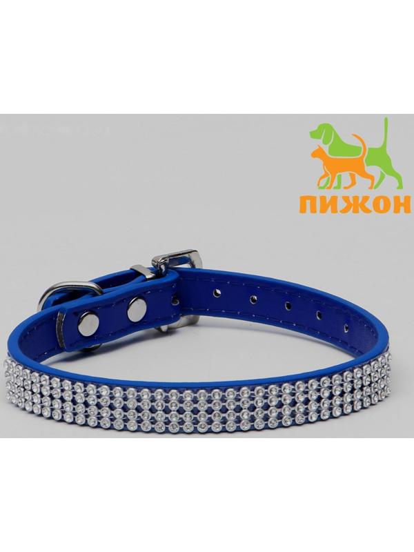 Ошейник со стразами в 4 ряда и стразы на пряжке,38 х 1,5 см, ОШ 26-33, синий