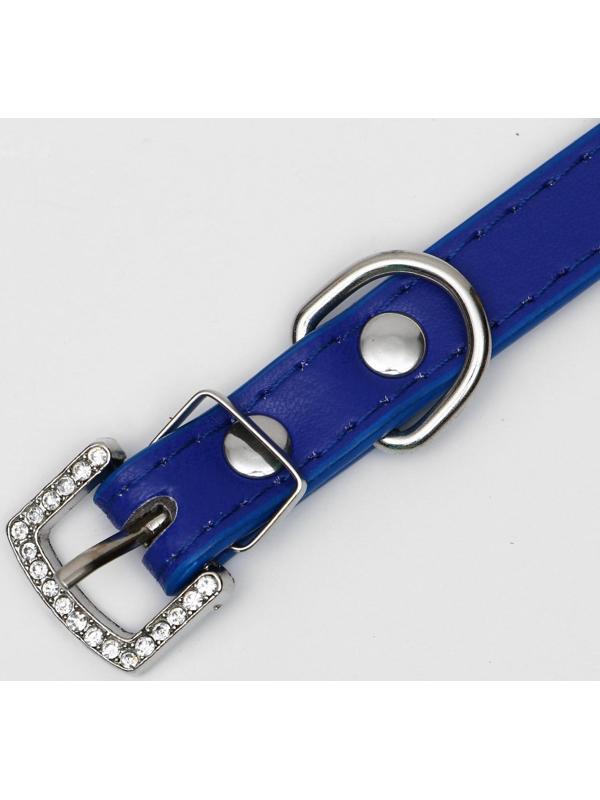 Ошейник со стразами в 4 ряда и стразы на пряжке,38 х 1,5 см, ОШ 26-33, синий