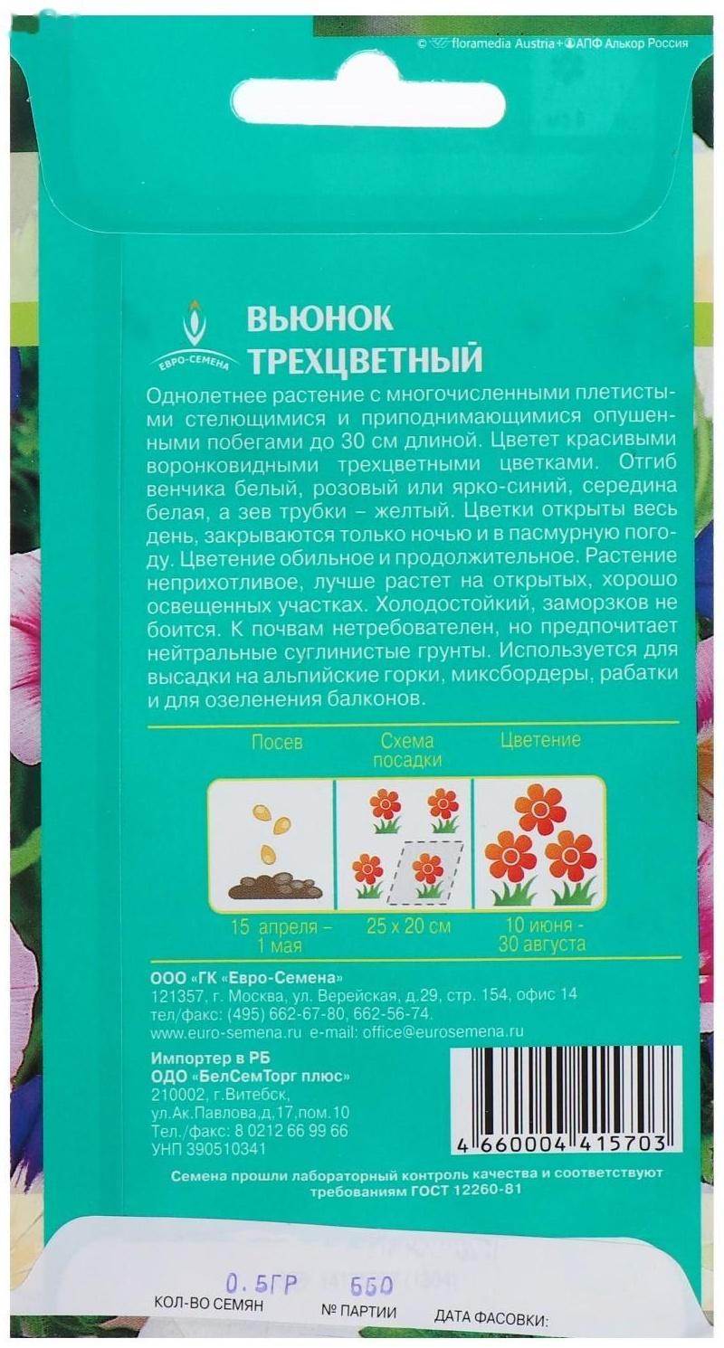 Семена цветов Вьюнок трехцветный,смесь однолетник 0,5 г.