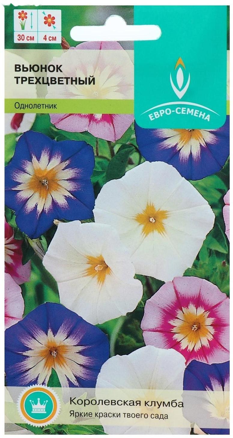 Семена цветов Вьюнок трехцветный,смесь однолетник 0,5 г.