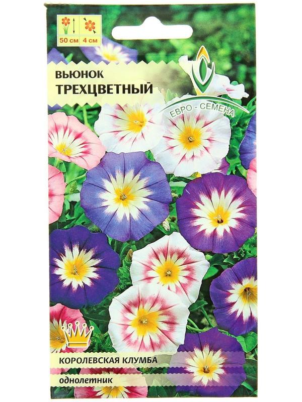 Семена цветов Вьюнок трехцветный,смесь однолетник 0,5 г.