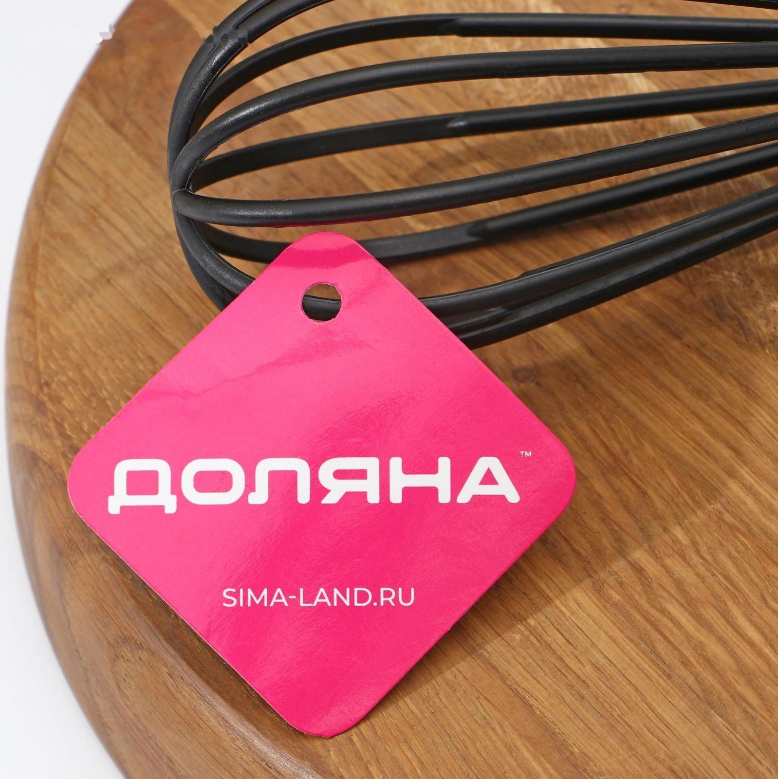 Венчик Доляна «Антрацитовый блеск», 29 см