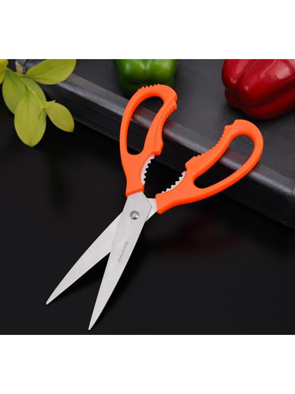 Ножницы кухонные Доляна «Саймон», 23 см, цвет МИКС