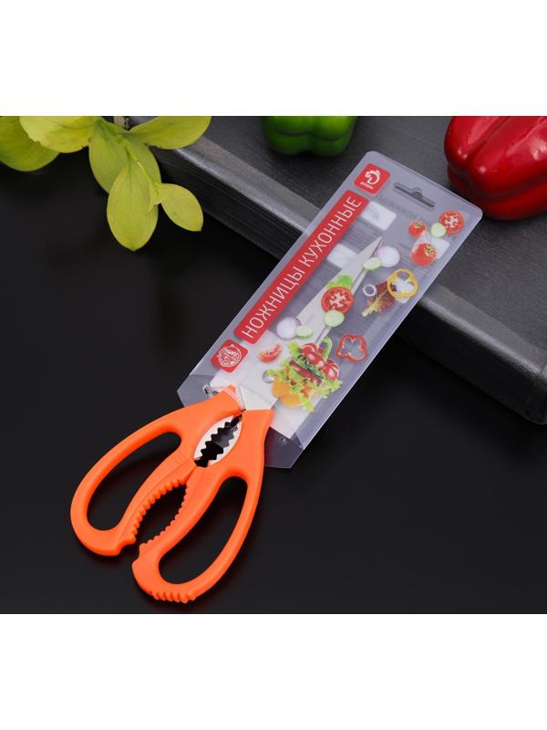 Ножницы кухонные Доляна «Саймон», 23 см, цвет МИКС