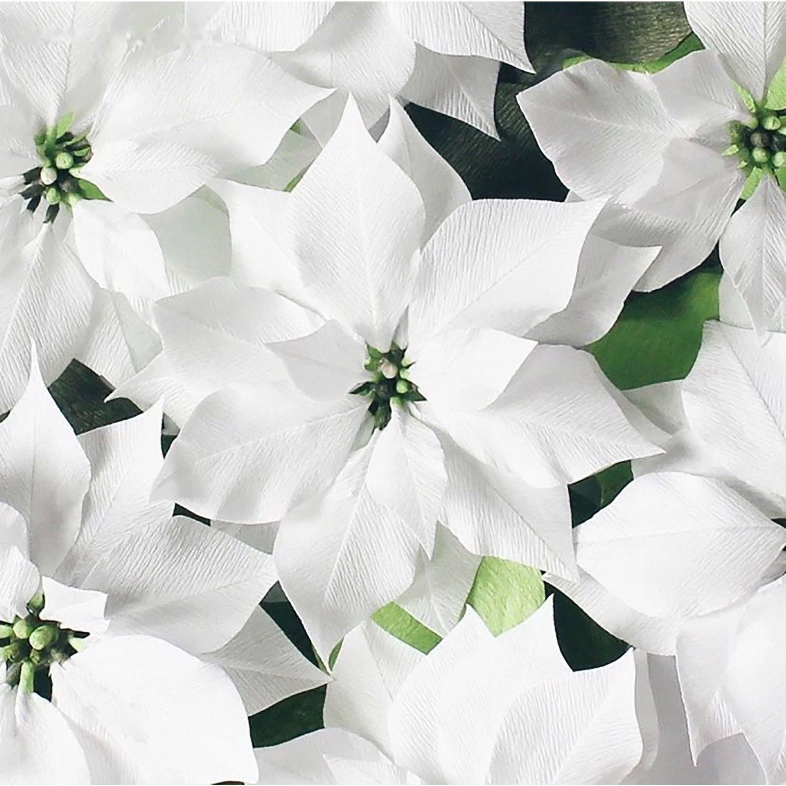 Бумага для упаковок и поделок, гофрированная, зеленая, однотонная, двусторонняя, рулон 1 шт., 0,5 х 2,5 м