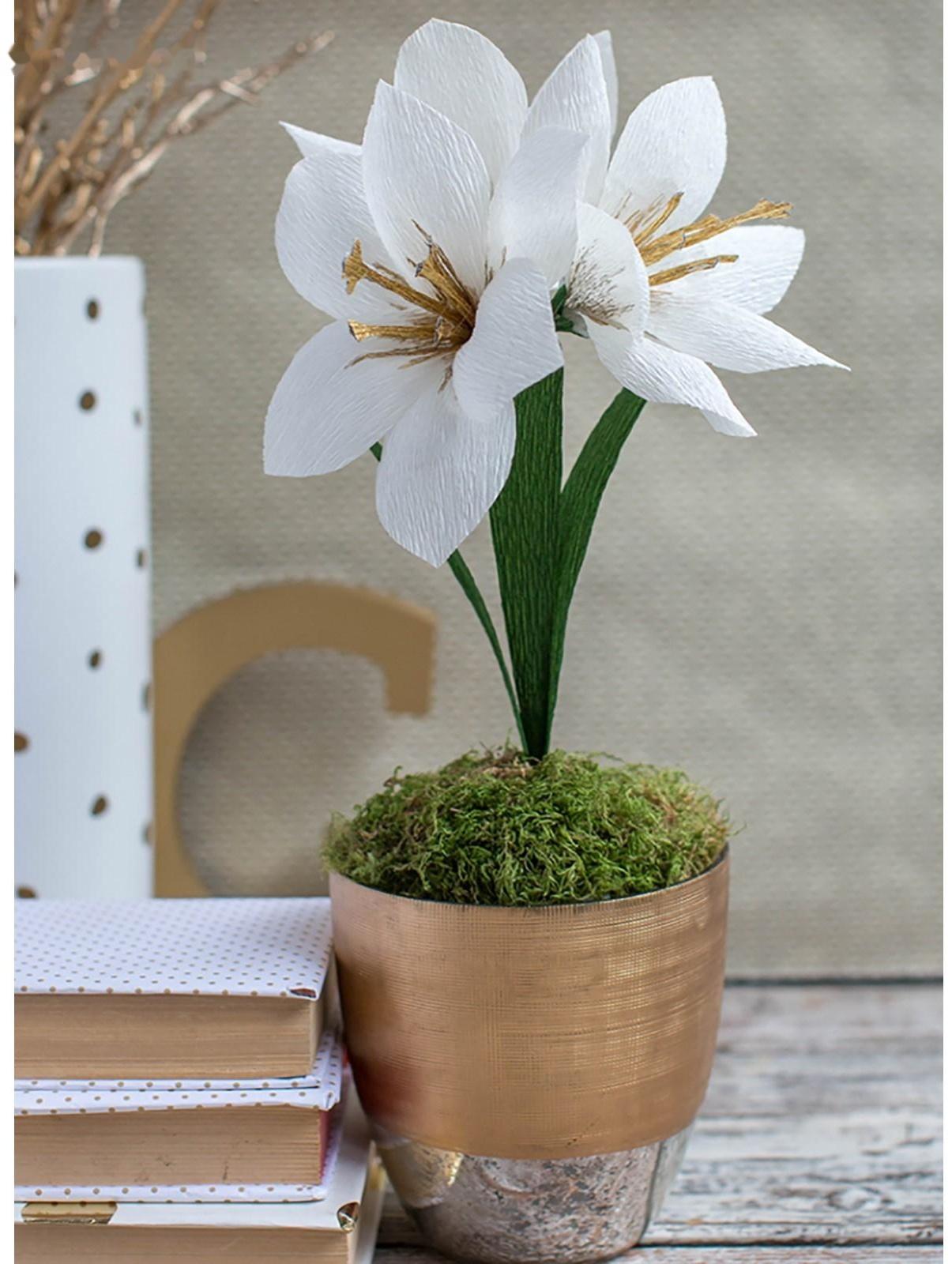 Бумага для упаковок и поделок, гофрированная, травяная, зеленая, однотонная, двусторонняя, рулон 1 шт., 0,5 х 2,5 м