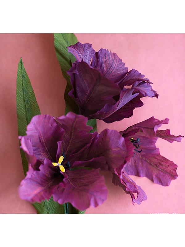 Бумага для упаковок и поделок, гофрированная, травяная, зеленая, однотонная, двусторонняя, рулон 1 шт., 0,5 х 2,5 м