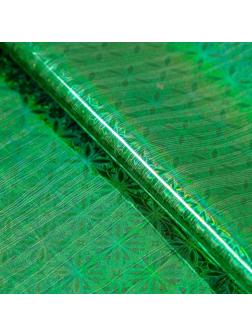 Пленка голография, зелёный, 70 х 100 см, рисунок МИКС