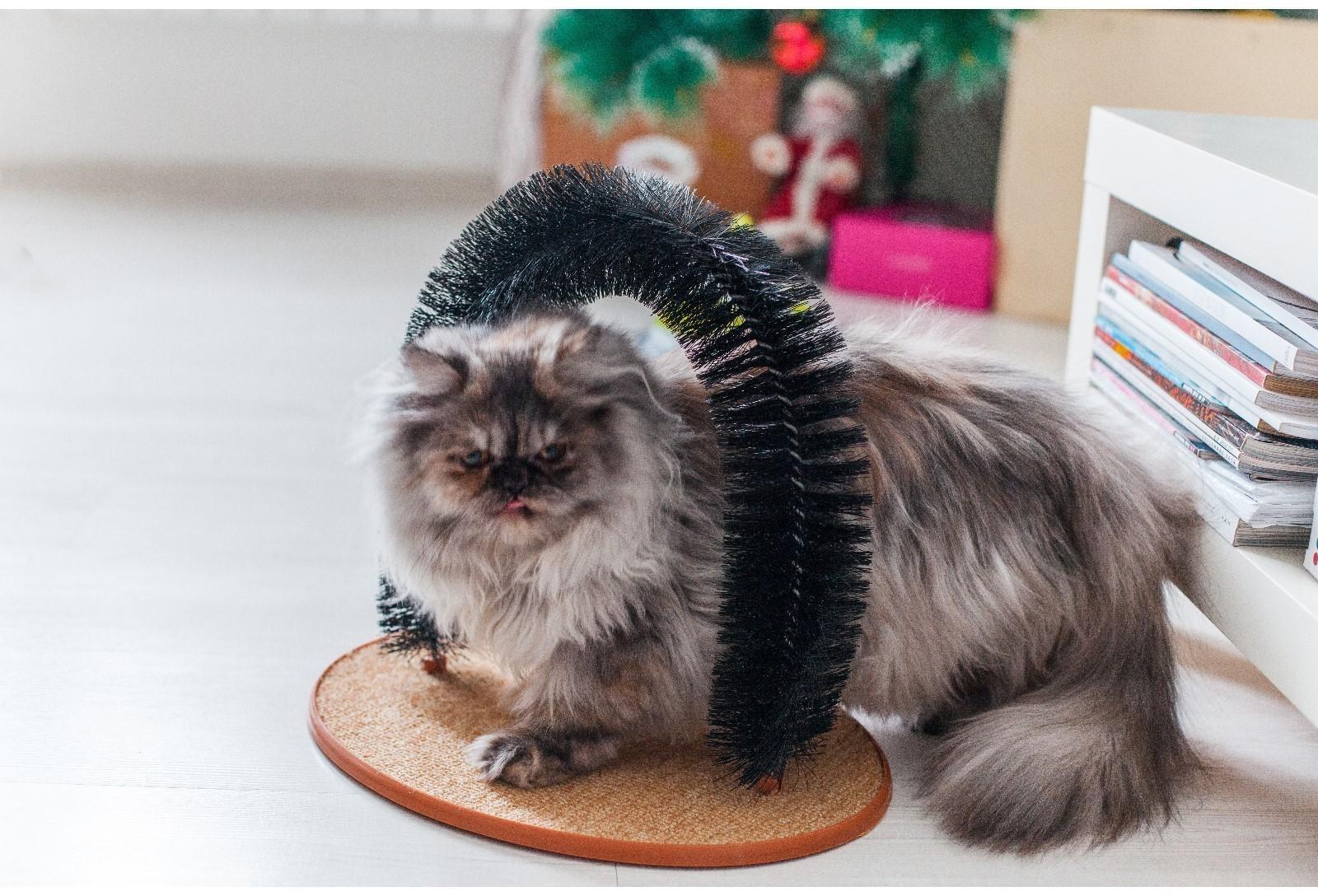 Комплекс для кошек с когтеточкой и аркой-чесалкой