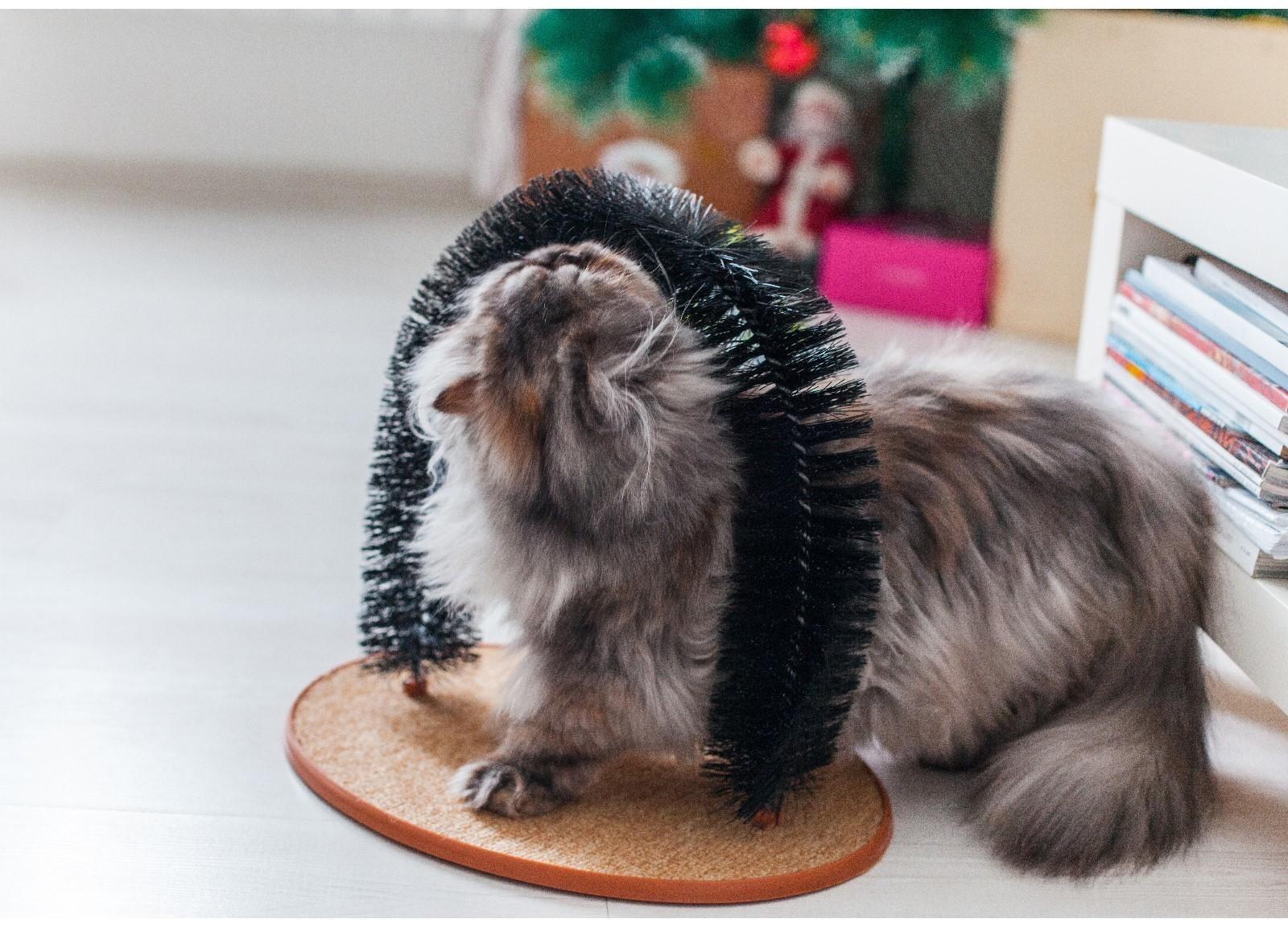 Комплекс для кошек с когтеточкой и аркой-чесалкой