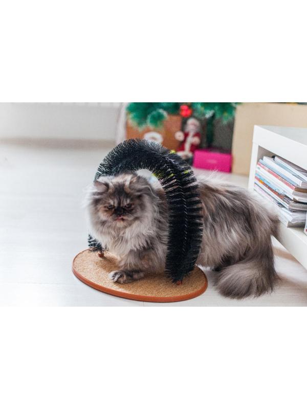 Комплекс для кошек с когтеточкой и аркой-чесалкой