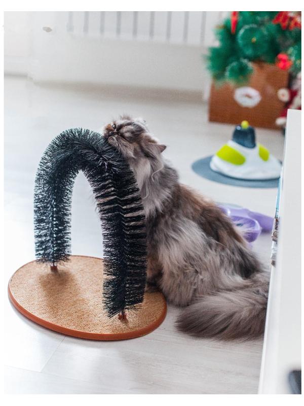 Комплекс для кошек с когтеточкой и аркой-чесалкой