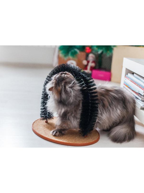 Комплекс для кошек с когтеточкой и аркой-чесалкой