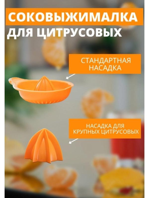 Соковыжималка для цитрусовых «Мадена», 300 мл, цвет МИКС