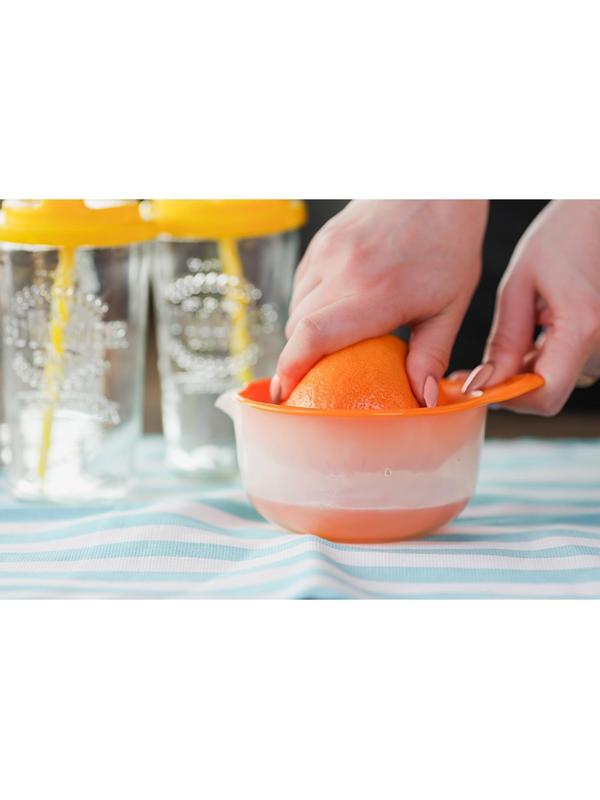Соковыжималка для цитрусовых «Мадена», 300 мл, цвет МИКС