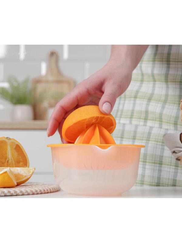 Соковыжималка для цитрусовых «Мадена», 300 мл, цвет МИКС