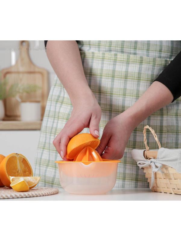 Соковыжималка для цитрусовых «Мадена», 300 мл, цвет МИКС