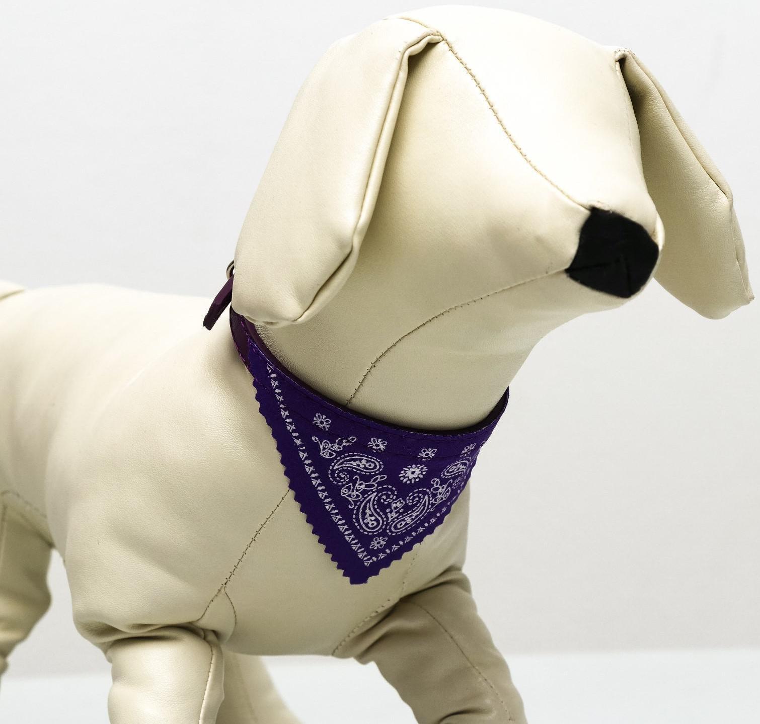 Ошейник с косынкой 32 х 1 см,ОШ 22-28, фиолетовый