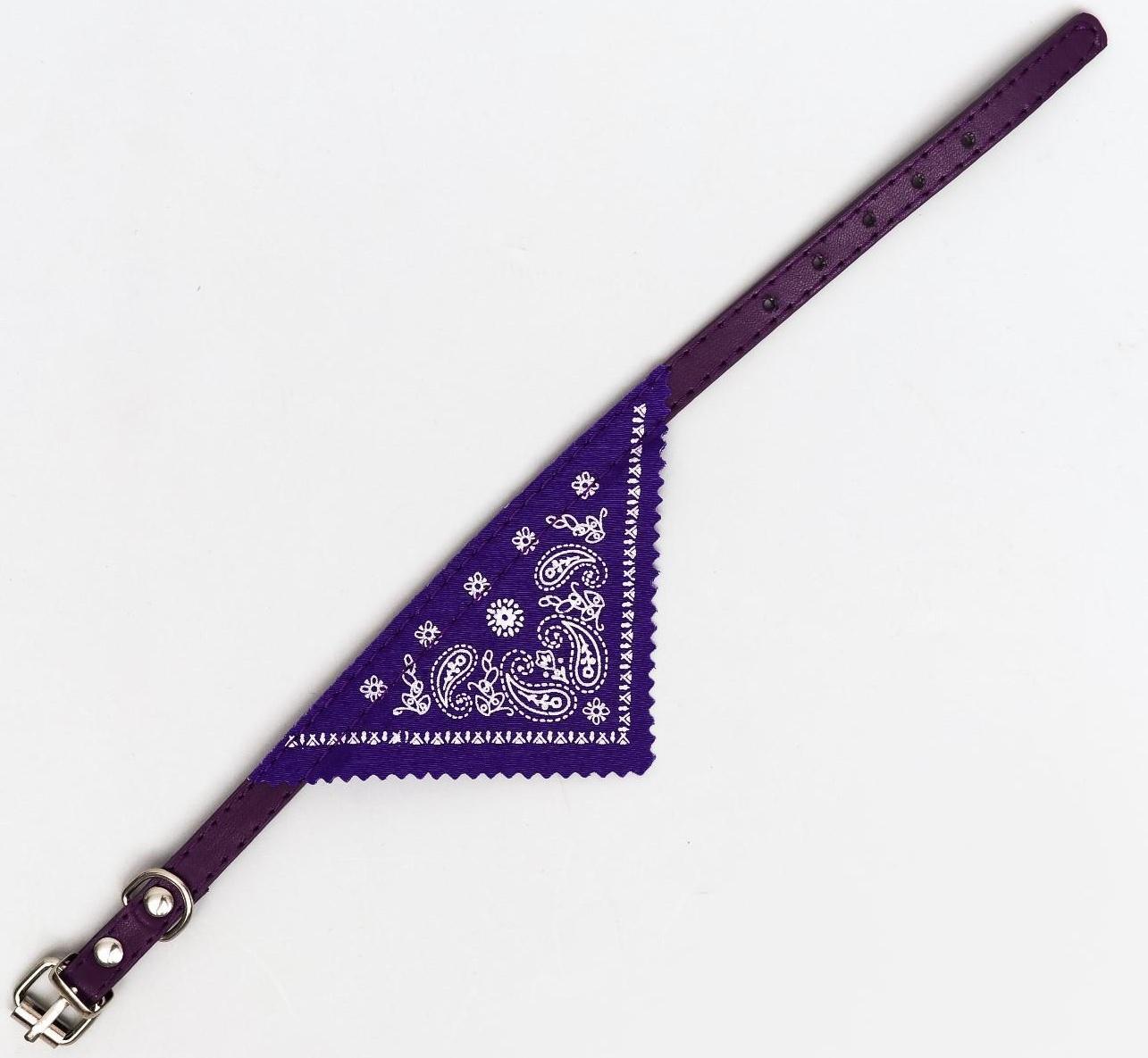 Ошейник с косынкой 32 х 1 см,ОШ 22-28, фиолетовый