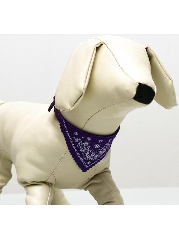 Ошейник с косынкой 32 х 1 см,ОШ 22-28, фиолетовый