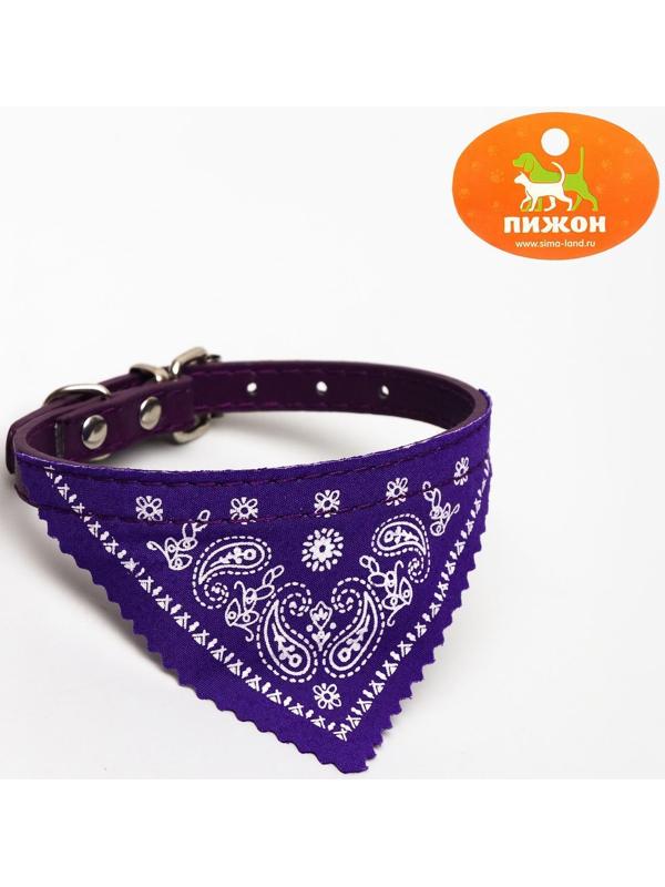 Ошейник с косынкой 32 х 1 см,ОШ 22-28, фиолетовый