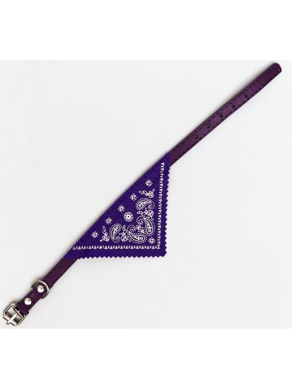 Ошейник с косынкой 32 х 1 см,ОШ 22-28, фиолетовый