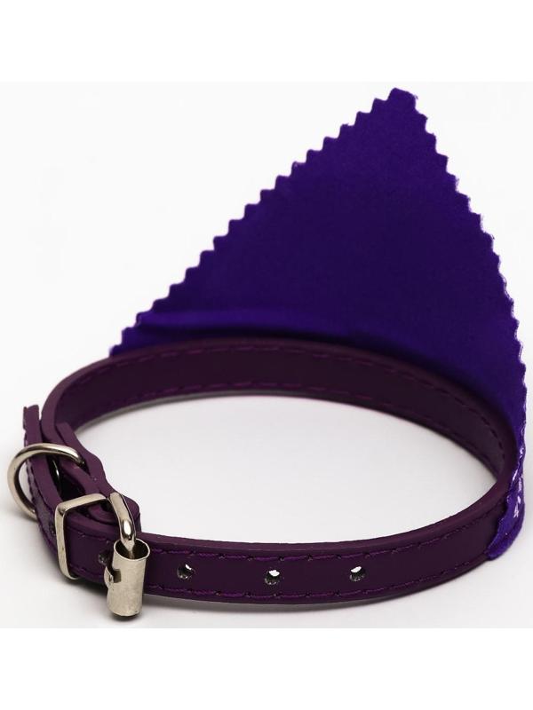 Ошейник с косынкой 32 х 1 см,ОШ 22-28, фиолетовый