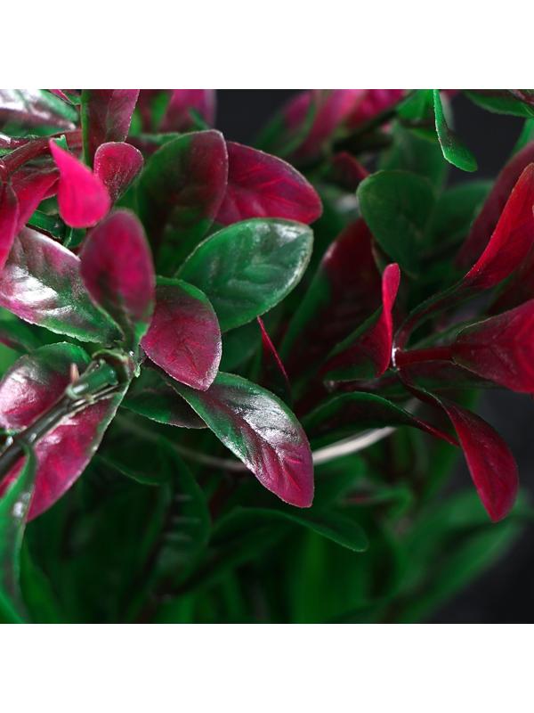 Растение искусственное с распылителем, 11 х 11 х 22 см