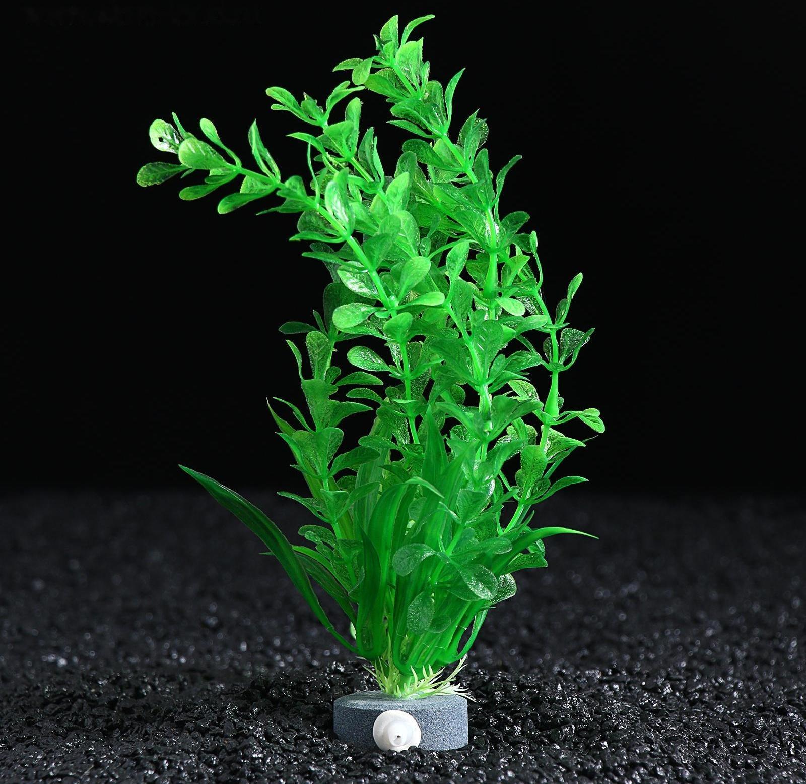 Растение искусственное с распылителем, 14 х 14 х 20 см