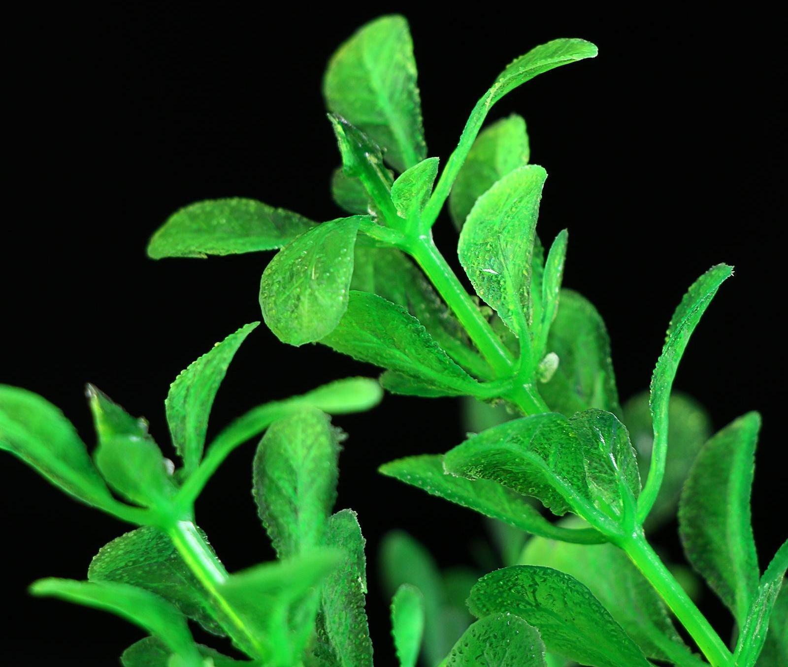 Растение искусственное с распылителем, 14 х 14 х 20 см