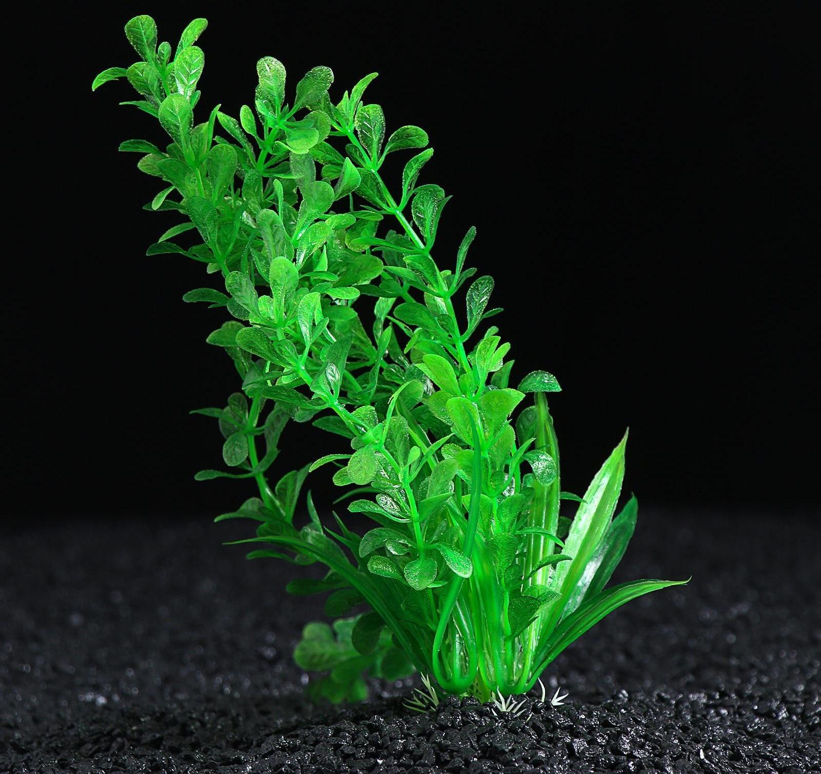 Растение искусственное с распылителем, 14 х 14 х 20 см