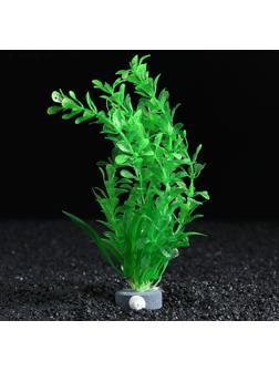 Растение искусственное с распылителем, 14 х 14 х 20 см