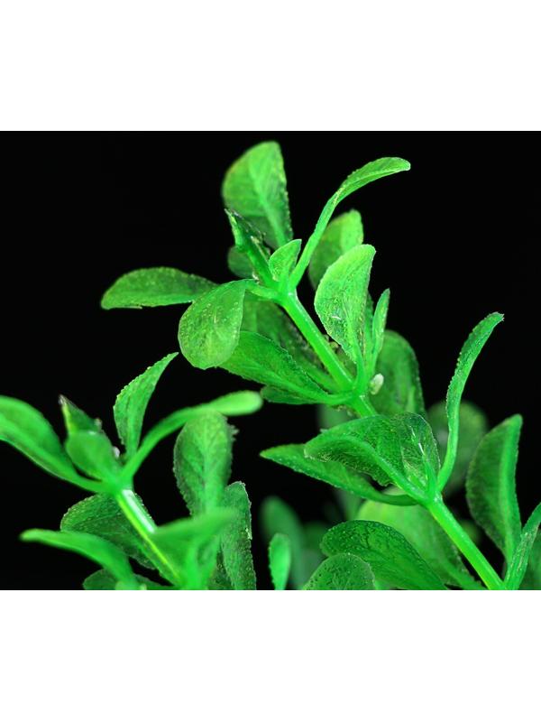 Растение искусственное с распылителем, 14 х 14 х 20 см