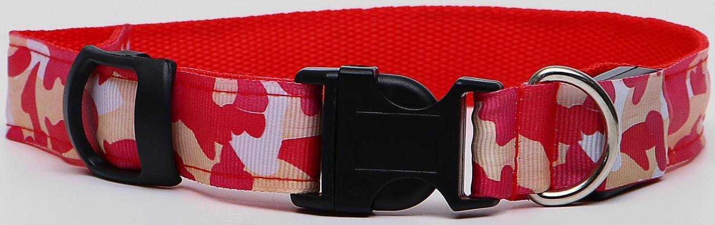 Ошейник с подсветкой 