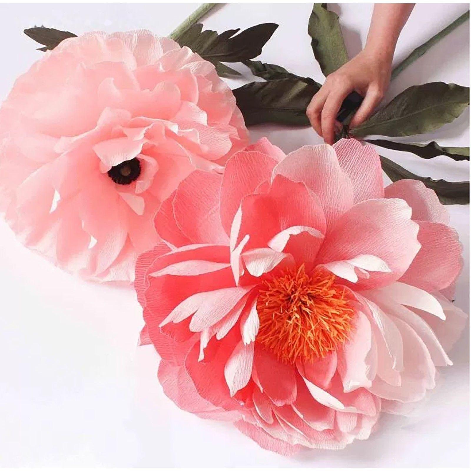 Бумага для упаковок и поделок, гофрированная, фисташковая, зеленая, однотонная, двусторонняя, рулон 1 шт., 0,5 х 2,5 м