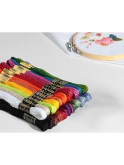 Набор ниток мулине «Ленинградское мулине», 10 ± 1 м, 25 шт, цвет разноцветный