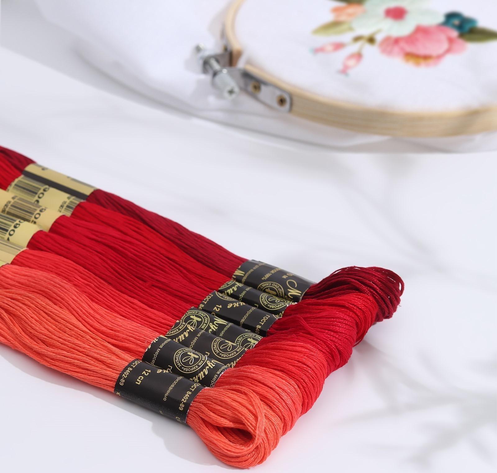 Набор ниток мулине «Цветик-Семицветик», 10 ± 1 м, 7 шт, цвет красный спектр