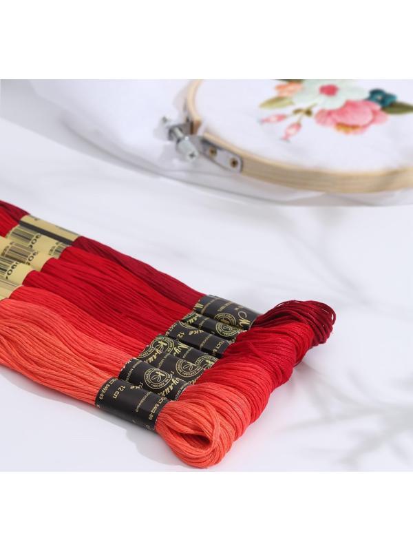 Набор ниток мулине «Цветик-Семицветик», 10 ± 1 м, 7 шт, цвет красный спектр