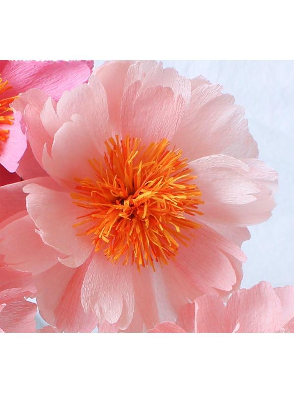 Бумага для упаковок и поделок, гофрированная, светлая, персиковая (камелия), розовая, рулон 1шт., 0,5 х 2,5 м