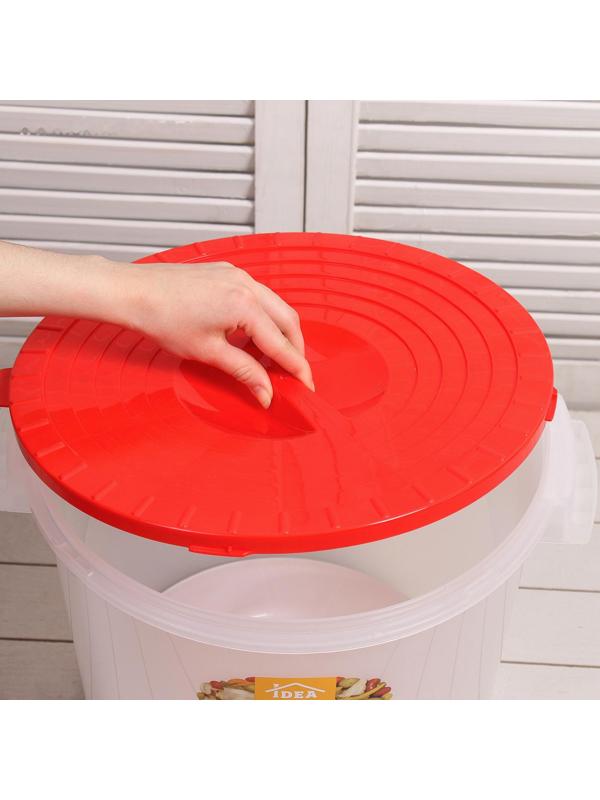 Бак пищевой «Для солений», 25 л, с гнётом