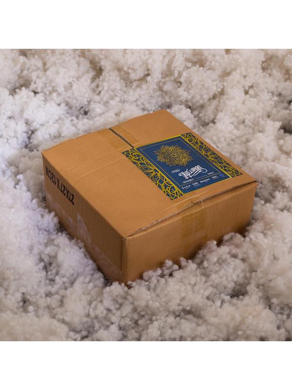 Гирлянда «Занавес» 2 × 6 м, IP44, УМС, тёмная нить, 1440 LED, свечение синее, 220 В