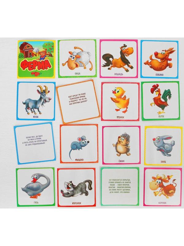 Конструктор магнитный «Ферма» в дер. коробке + набор игровых карточек, мел маркер