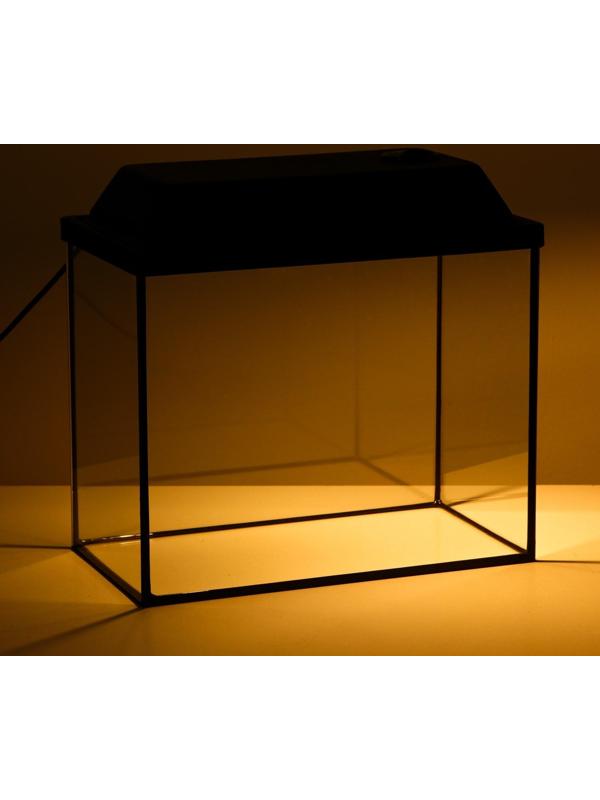 Аквариум прямоугольный с крышкой, 25 литров, 38 х 21 х 31/36 см, чёрный